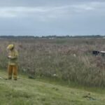 Fatal accidente en Ruta 11: una mujer murió tras despistar y volcar entre San Clemente y Las Toninas