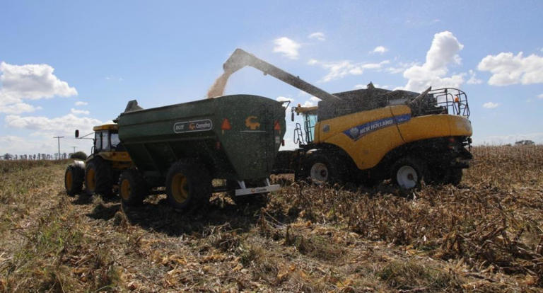 Tragedia en Arroyito: un hombre de 38 años falleció aplastado por una tolva