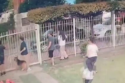 Patrullero atropelló a nena de dos años y está internada en grave estado tras la operación