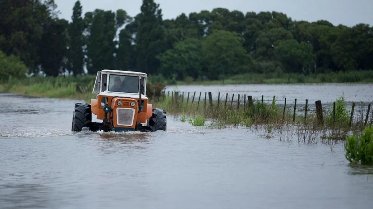 El Gobierno amplió la emergencia agropecuaria en la provincia de Buenos Aires por intensas lluvias