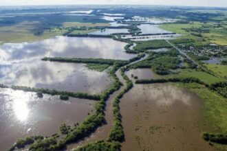 El gobierno provincial declaró la emergencia agropecuaria por inundaciones en varias localidades bonaerenses