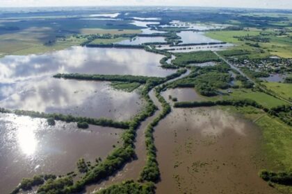 El gobierno provincial declaró la emergencia agropecuaria por inundaciones en varias localidades bonaerenses