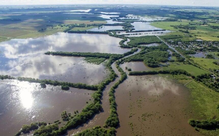 El gobierno provincial declaró la emergencia agropecuaria por inundaciones en varias localidades bonaerenses