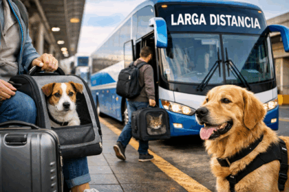 transporte mascotas