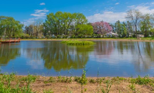 Escapada verde a solo 40 minutos de CABA: descubriendo el Ecoparque San Fernando