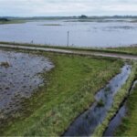 La provincia de buenos aires declaró la emergencia agropecuaria por inundaciones en villarino