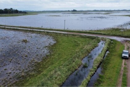 La provincia de buenos aires declaró la emergencia agropecuaria por inundaciones en villarino