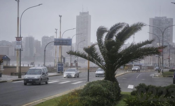 Alerta amarilla por vientos intensos afecta a gran parte de la provincia de buenos aires