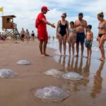 Aguas vivas provincia de Buenos Aires