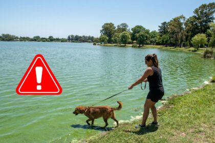 Atencion cianobacterias lagunas pba