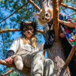 Therian Provincia pba