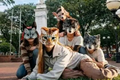 Therians pba provincia