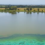 cianobacterias lagunas provincia de buenos aires