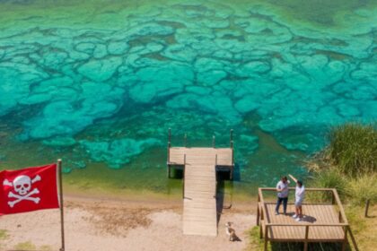 cianobacterias pba alerta