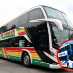 portada plusmar talp infozona