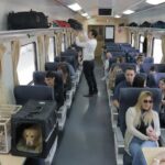 tren con mascotas