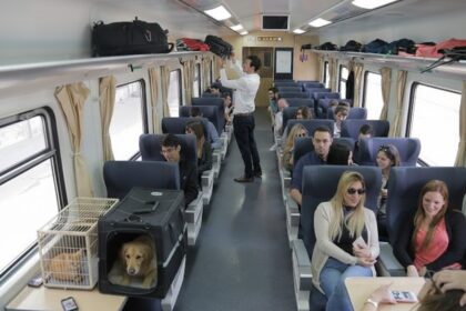 tren con mascotas