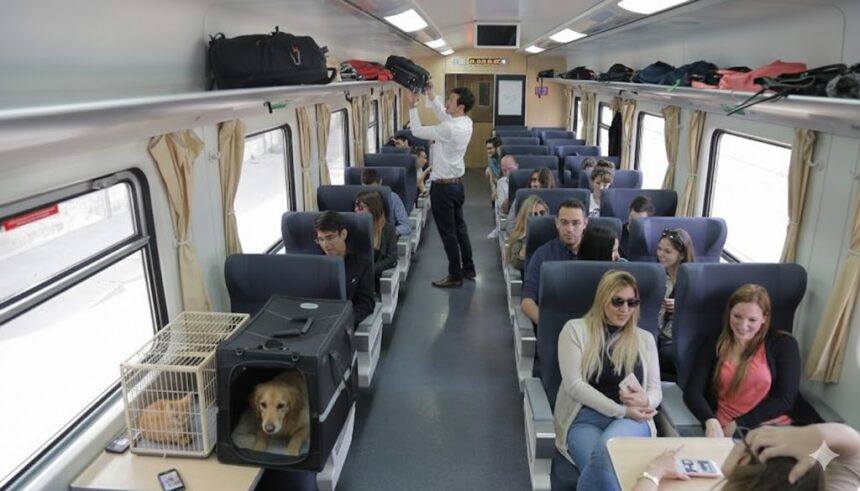 tren con mascotas