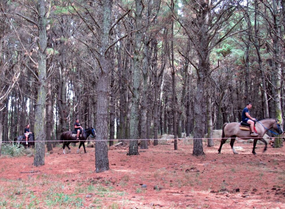 Semana santa 2026 en las sierras: qué hacer en tandil para disfrutar en familia