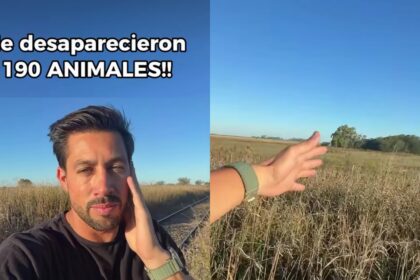 Desesperado pedido de productor rural: denuncia el robo de 190 animales y pide ayuda para encontrarlos
