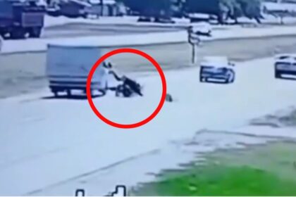 Video: brutal accidente en ruta 2, un motociclista chocó con un camión y resultó gravemente herido