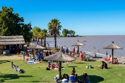 La selva secreta a 150 km de caba: el destino bonaerense donde el amazonas se mete en el río de la plata