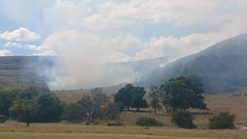 Bomberos de varias ciudades combaten un tremendo incendio forestal en sierra de los padres