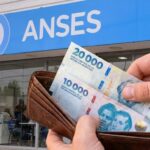Anses cobro pago