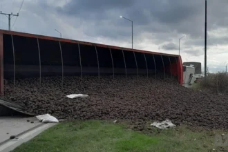 Vuelco de camión cargado de papas complicó el tránsito cerca de mar del plata