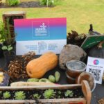 Huerta urbana bonaerense 2026: plazos y requisitos para recibir plantines gratuitos