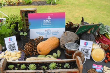 Huerta urbana bonaerense 2026: plazos y requisitos para recibir plantines gratuitos