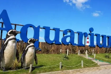 Impactante: venden pingüinos tras la quiebra del aquarium de mar del plata