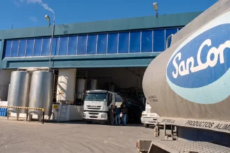 Crisis en sancor: la empresa láctea pidió su quiebra