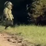 Secuestran trotyl y granadas durante un allanamiento en el partido de la costa