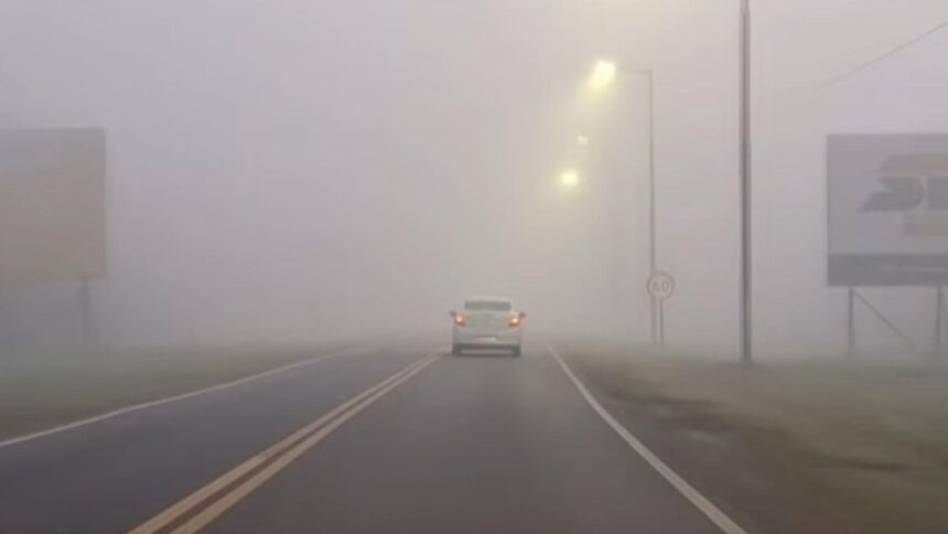 Alerta por niebla: advierten por visibilidad casi nula en rutas bonaerenses