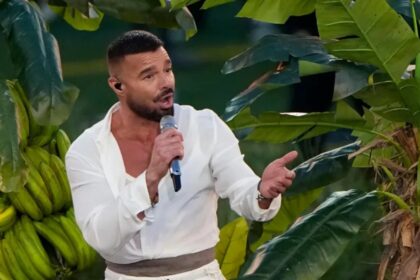 Ricky martin fue atacado con gas lacrimógeno en pleno concierto y tomó una decisión que sorprendió a todos