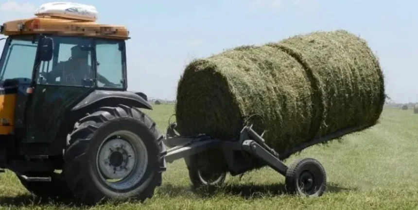 Horror en la ruta: murió decapitado tras chocar contra un tractor con las luces tapadas