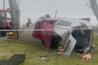 Trágico accidente en ruta 11: una mujer murió tras chocar contra un árbol
