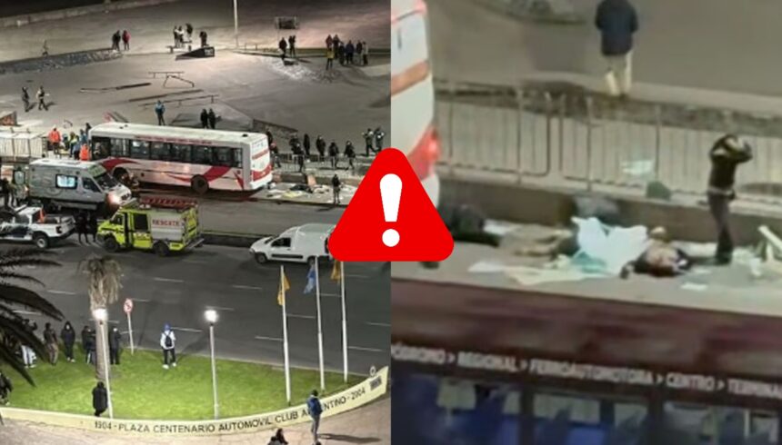 Tragedia en la costanera de mar del plata: un colectivo perdió el control y atropelló a varias personas