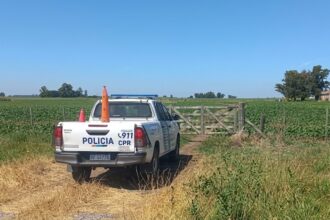 Misterioso robo de 52 terneros en lincoln: desaparecieron animales valuados en 50. 000 dólares
