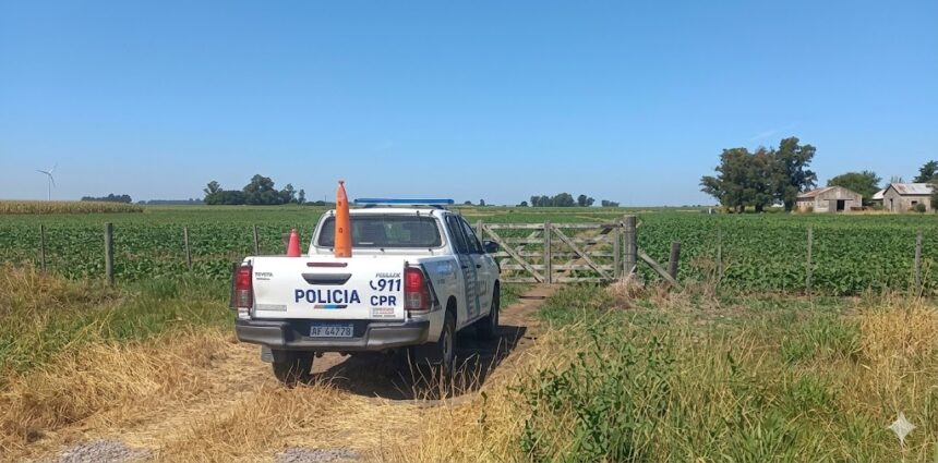 Misterioso robo de 52 terneros en lincoln: desaparecieron animales valuados en 50. 000 dólares