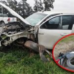 Trágico accidente en ruta 29: murió un motociclista tras chocar con una camioneta