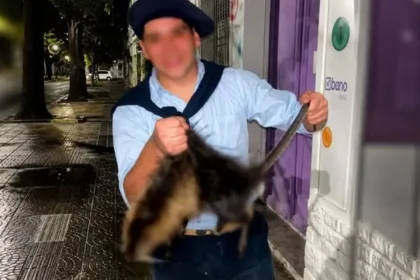 Dos jóvenes irán a juicio por matar a una nutria y difundir el ataque en redes sociales