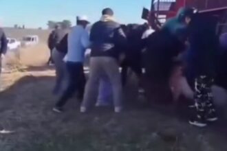 Volcó un camión con cerdos y decenas de personas faenaron los animales
