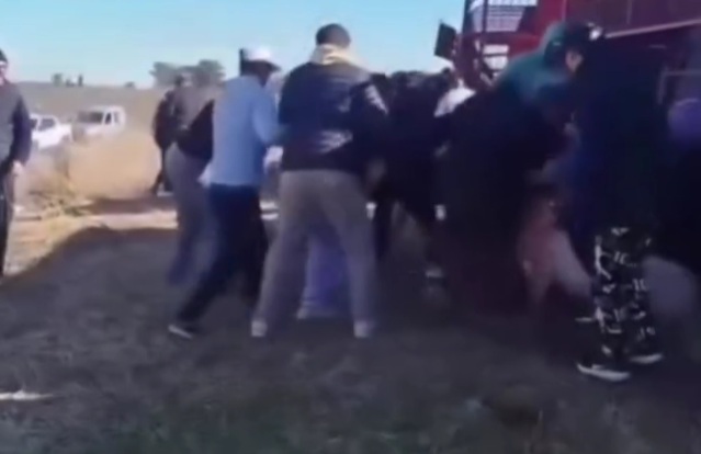 Volcó un camión con cerdos y decenas de personas faenaron los animales