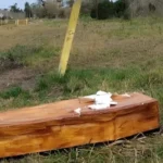 Macabro: hallaron un ataúd junto a las vías del tren cerca de mar del plata