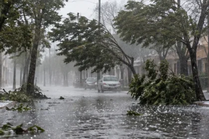 Calle bonaerense bajo una tormenta intensa con lluvia, viento y ramas caídas