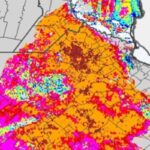 Helada histórica en provincia: hubo hasta -6°c y una zona igualó una marca de 60 años
