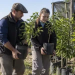 Último día: la provincia entregará 6. 800 árboles frutales y hoy cierra una inscripción clave