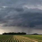 Provincia declaró la emergencia agropecuaria por inundaciones en 9 de julio y necochea: qué beneficios activa